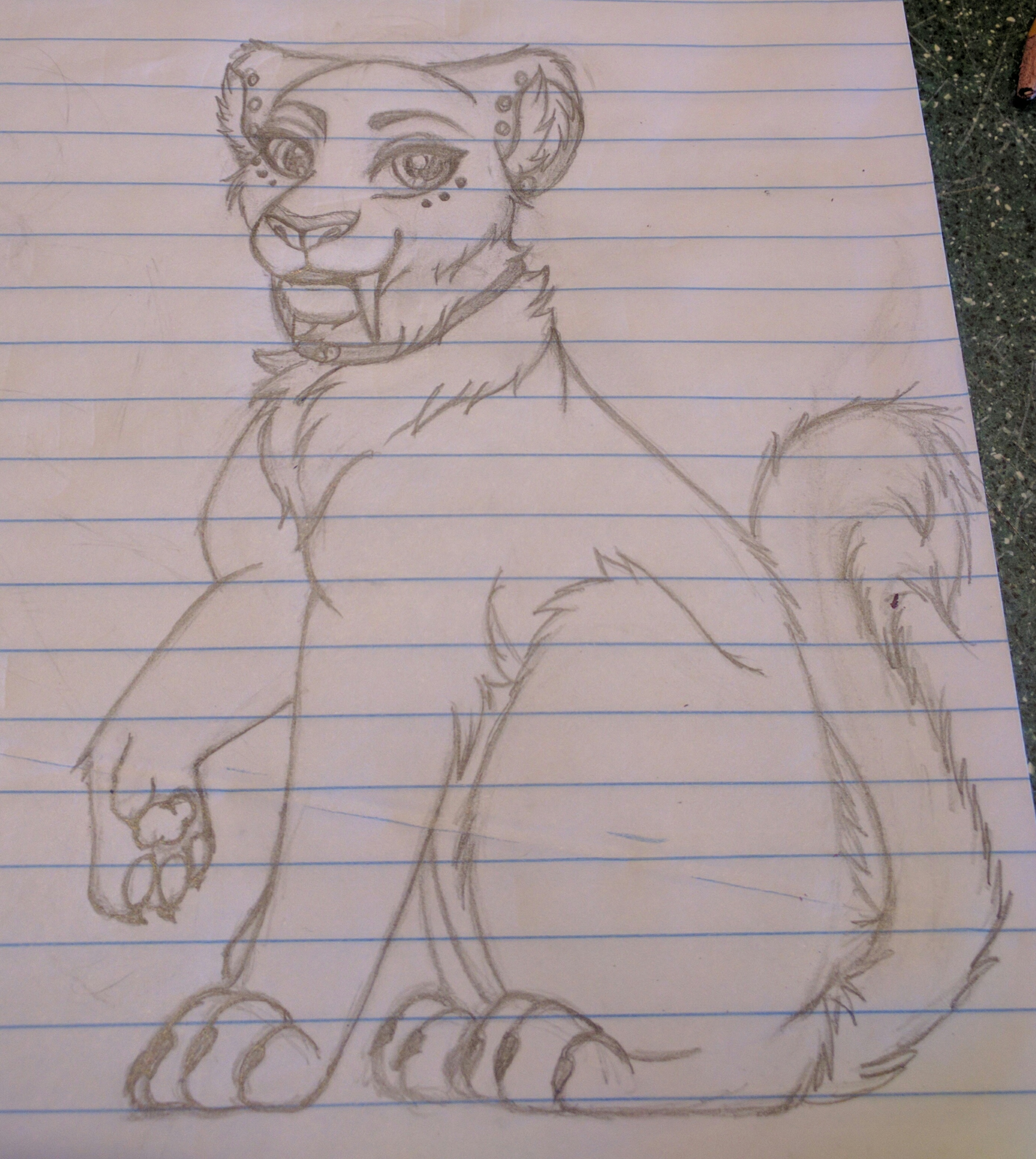 Not sure about the tail.