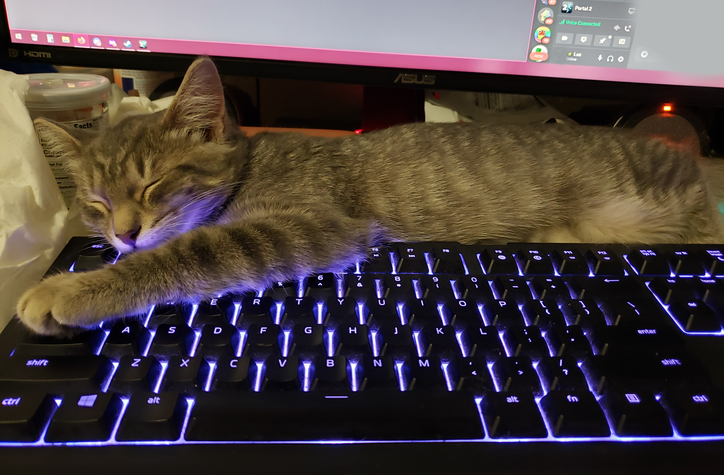 She used to be smaller than my keyboard!