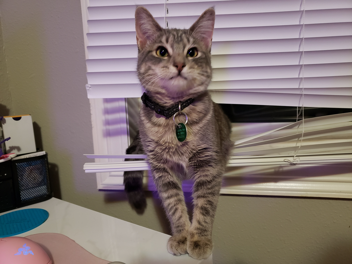 She's not at all concerned about the security deposit.