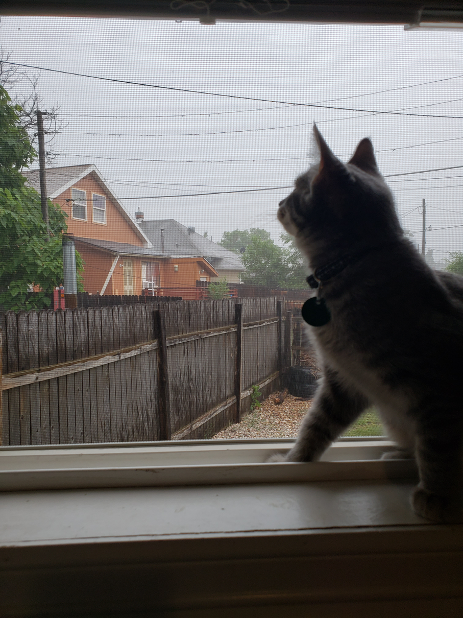 Average window enjoyer.