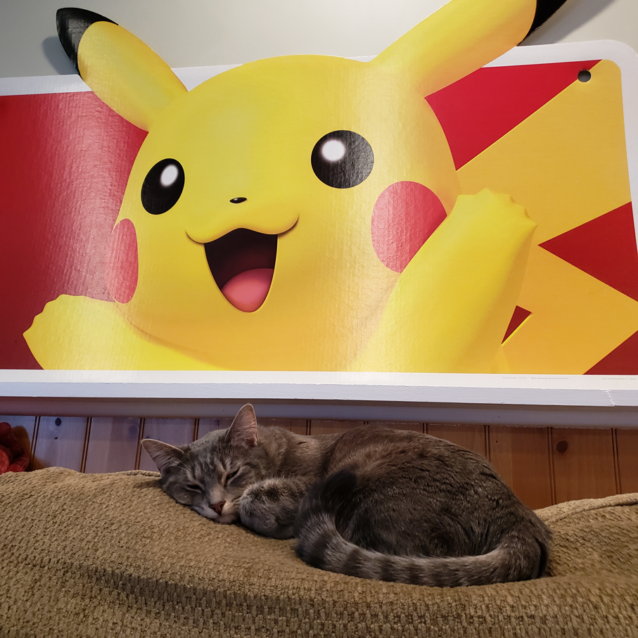 Pika protecc.