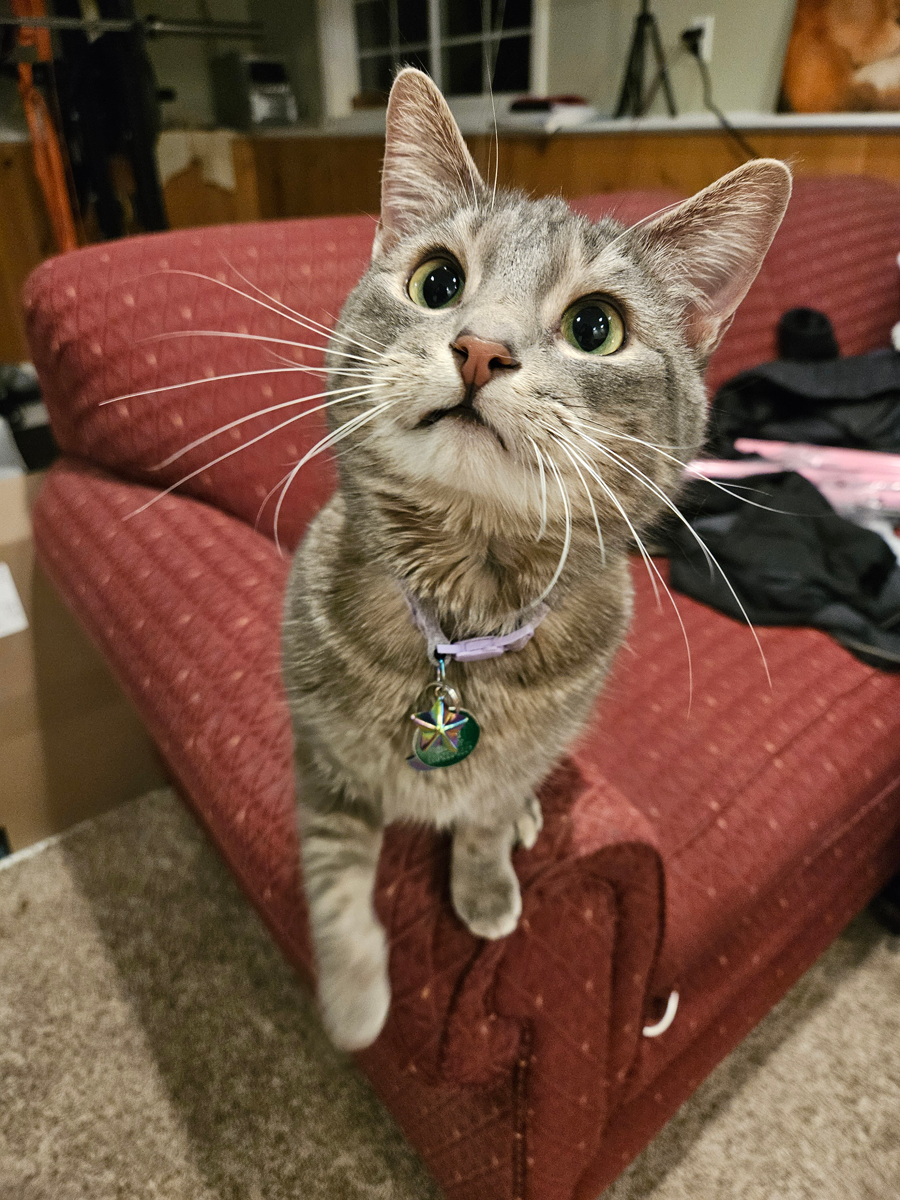 'What'cha got there?'